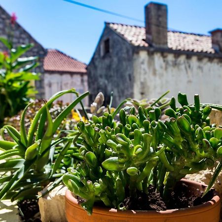 Apartment Hladilo "Nostalgia" Dubrovnik Eksteriør bilde