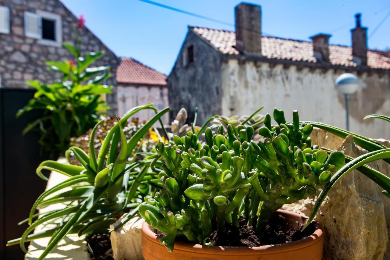 Apartment Hladilo "Nostalgia" Dubrovnik Eksteriør bilde